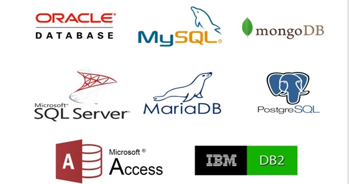 Database Systems Lab Logo